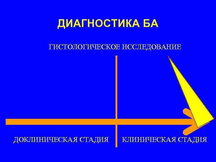 ДИАГНОСТИКА БА ГИСТОЛОГИЧЕСКОЕ ИССЛЕДОВАНИЕ ДОКЛИНИЧЕСКАЯ СТАДИЯ 