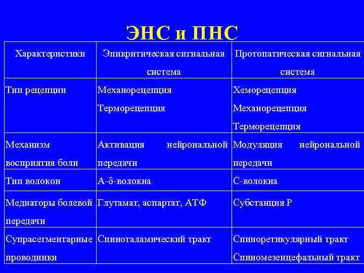 ЭНС и ПНС Характеристики Эпикритическая сигнальная Протопатическая сигнальная система Тип рецепции система Механорецепция Хеморецепция