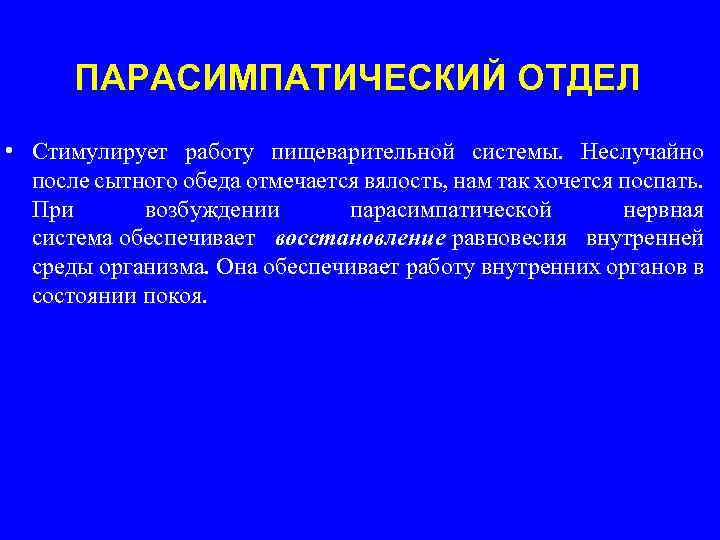 ПАРАСИМПАТИЧЕСКИЙ ОТДЕЛ • Стимулирует работу пищеварительной системы. Неслучайно после сытного обеда отмечается вялость, нам