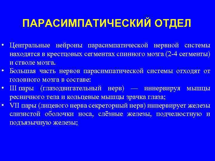 ПАРАСИМПАТИЧЕСКИЙ ОТДЕЛ • Центральные нейроны парасимпатической нервной системы находятся в крестцовых сегментах спинного мозга