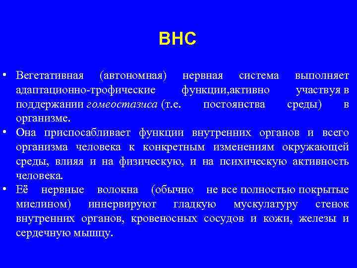 ВНС • Вегетативная (автономная) нервная система выполняет адаптационно-трофические функции, активно участвуя в поддержании гомеостазиса