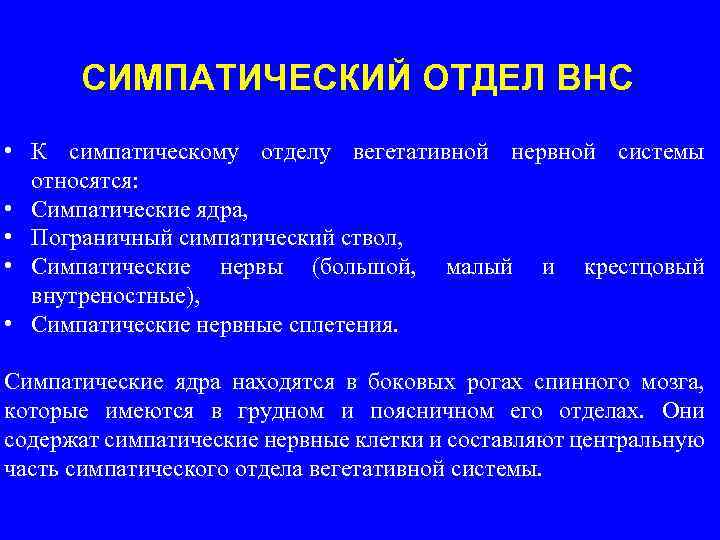 СИМПАТИЧЕСКИЙ ОТДЕЛ ВНС • К симпатическому отделу вегетативной нервной системы относятся: • Симпатические ядра,