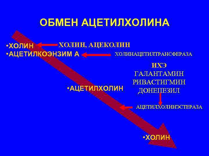 ОБМЕН АЦЕТИЛХОЛИНА ХОЛИН, АЦЕКОЛИН • ХОЛИНАЦЕТИЛТРАНСФЕРАЗА • АЦЕТИЛКОЭНЗИМ А • АЦЕТИЛХОЛИН ИХЭ ГАЛАНТАМИН РИВАСТИГМИН