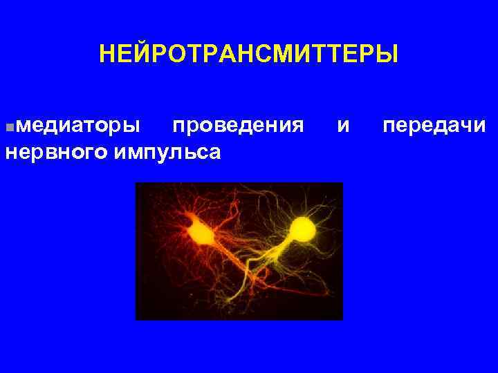 НЕЙРОТРАНСМИТТЕРЫ медиаторы проведения нервного импульса n и передачи 