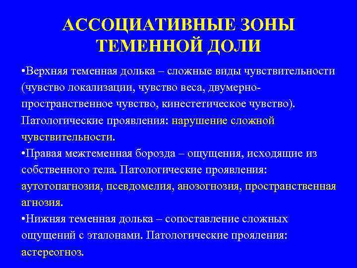 АССОЦИАТИВНЫЕ ЗОНЫ ТЕМЕННОЙ ДОЛИ • Верхняя теменная долька – сложные виды чувствительности (чувство локализации,