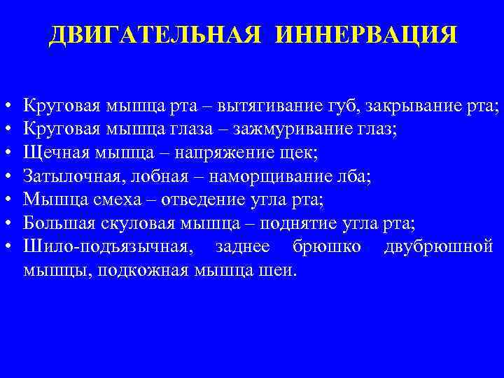 ДВИГАТЕЛЬНАЯ ИННЕРВАЦИЯ • • Круговая мышца рта – вытягивание губ, закрывание рта; Круговая мышца