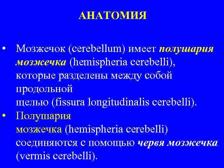 АНАТОМИЯ • Mозжечoк (cerebellum) имеет полушария мозжечка (hemispheria cerebelli), которые разделены между собой продольной