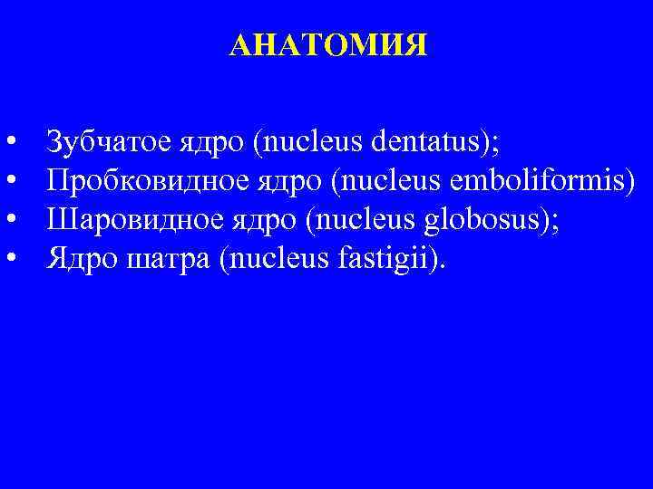 АНАТОМИЯ • • Зубчатое ядро (nucleus dentatus); Пробковидное ядро (nucleus emboliformis) Шаровидное ядро (nucleus