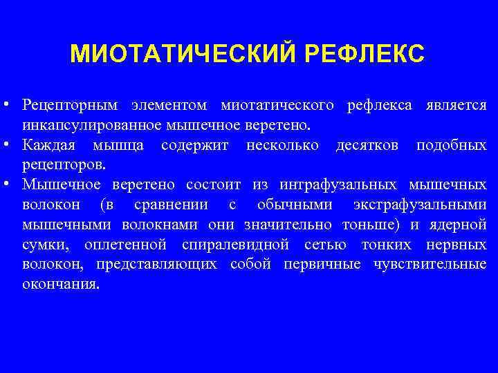 МИОТАТИЧЕСКИЙ РЕФЛЕКС • Рецепторным элементом миотатического рефлекса является инкапсулированное мышечное веретено. • Каждая мышца