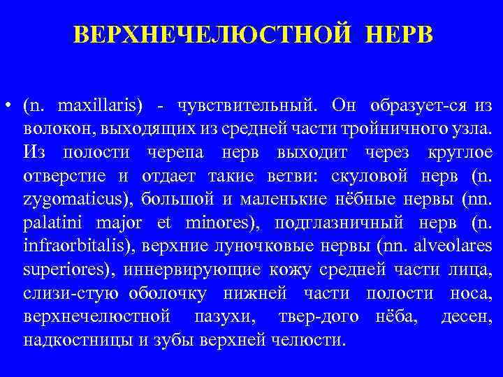 ВЕРХНЕЧЕЛЮСТНОЙ НЕРВ • (n. maxillaris) чувствительный. Он образует ся из волокон, выходящих из средней