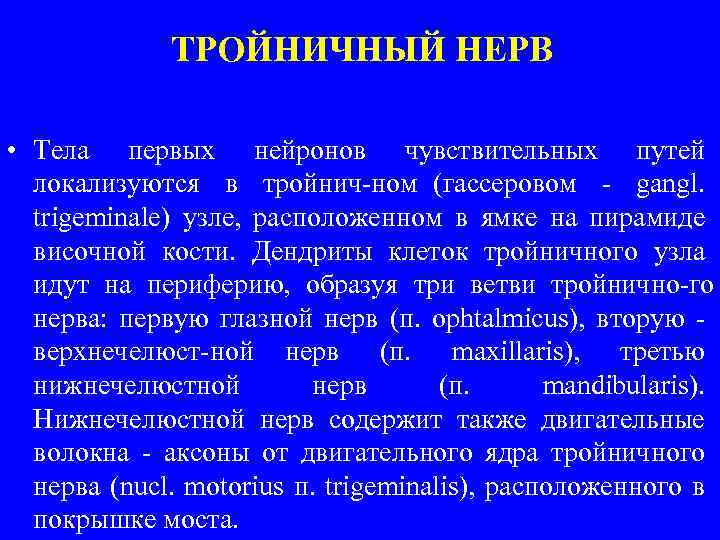 ТРОЙНИЧНЫЙ НЕРВ • Тела первых нейронов чувствительных путей локализуются в тройнич ном (гассеровом gangl.