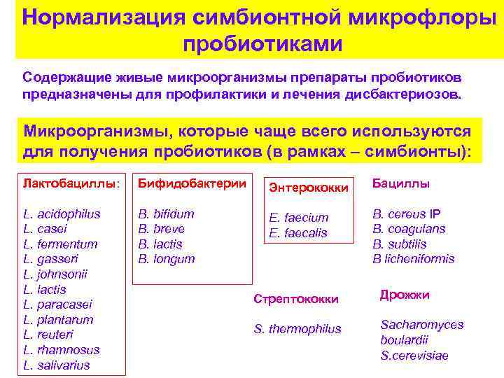 Технологическая схема производства пробиотиков