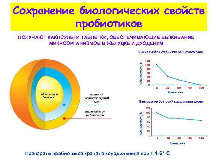 Cохранение биологических свойств пробиотиков ПОЛУЧАЮТ КАКПСУЛЫ И ТАБЛЕТКИ, ОБЕСПЕЧИВАЮЩИЕ ВЫЖИВАНИЕ МИКРООРГАНИЗМОВ В ЖЕЛУДКЕ И