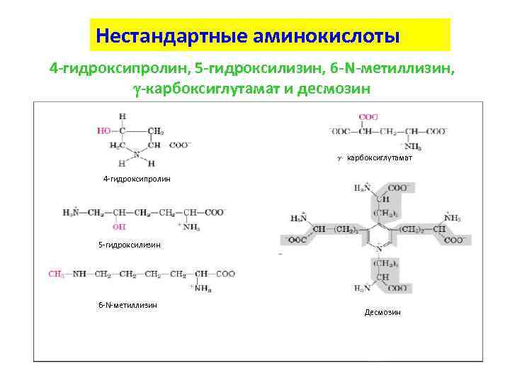 Нестандартные аминокислоты 4 -гидроксипролин, 5 -гидроксилизин, 6 -N-метиллизин, g-карбоксиглутамат и десмозин карбоксиглутамат 4 -гидроксипролин