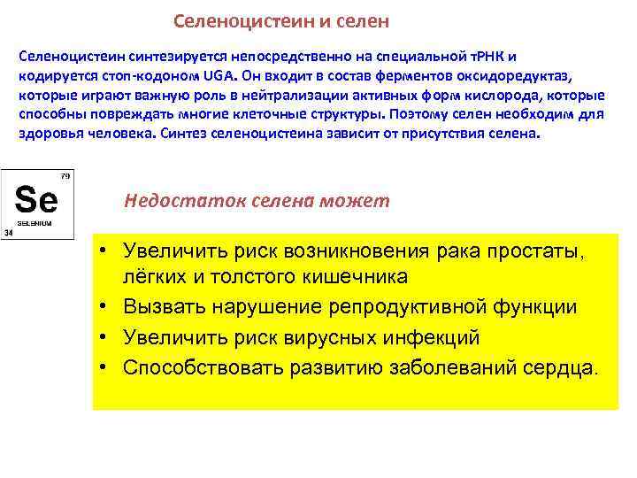 Селеноцистеин и селен Селеноцистеин синтезируется непосредственно на специальной т. РНК и кодируется стоп-кодоном UGA.