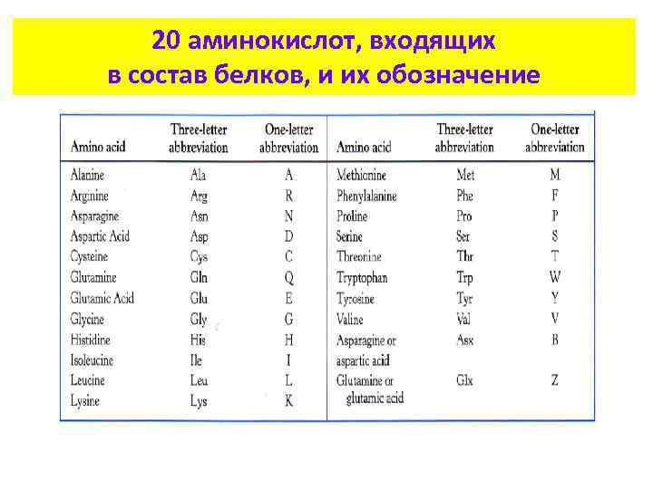 20 аминокислот, входящих в состав белков, и их обозначение 