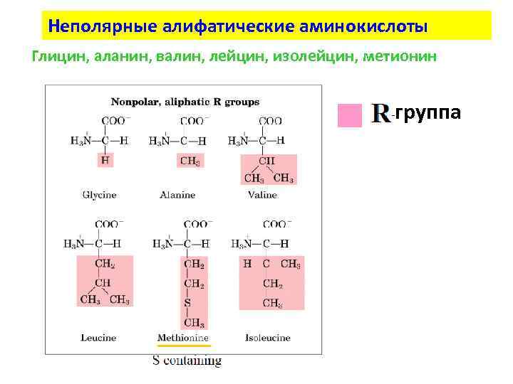 Схема получения аминокислот