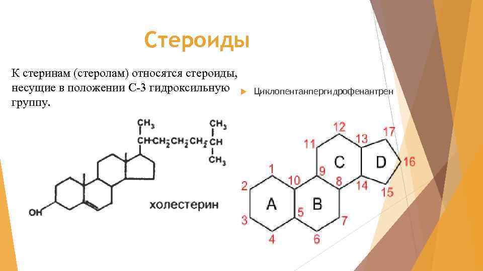 Стероиды К стеринам (стеролам) относятся стероиды, несущие в положении С-3 гидроксильную группу. Циклопентанпергидрофенантрен 