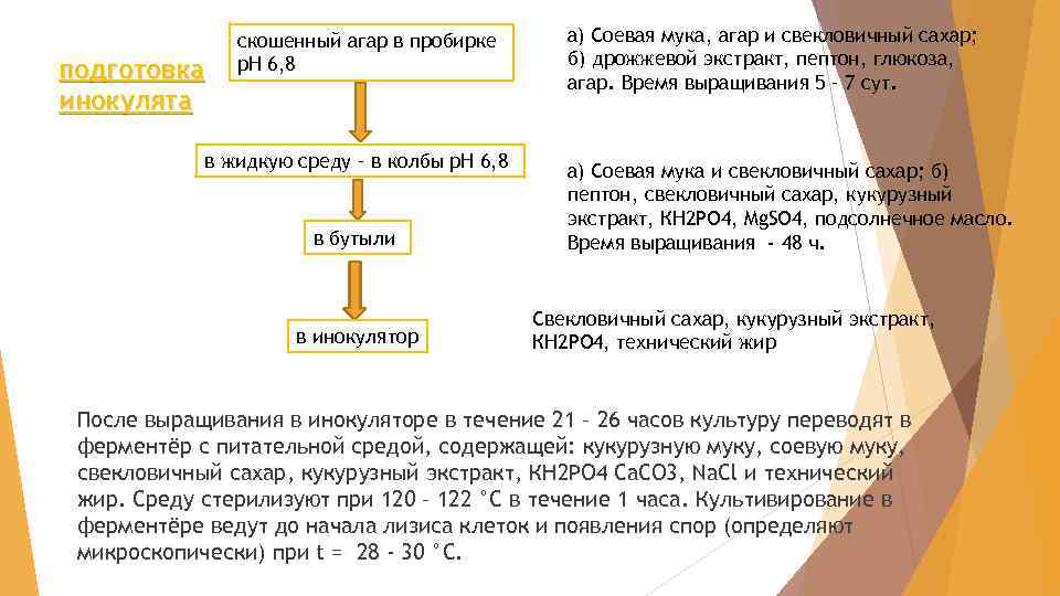 подготовка инокулята скошенный агар в пробирке р. Н 6, 8 в жидкую среду –