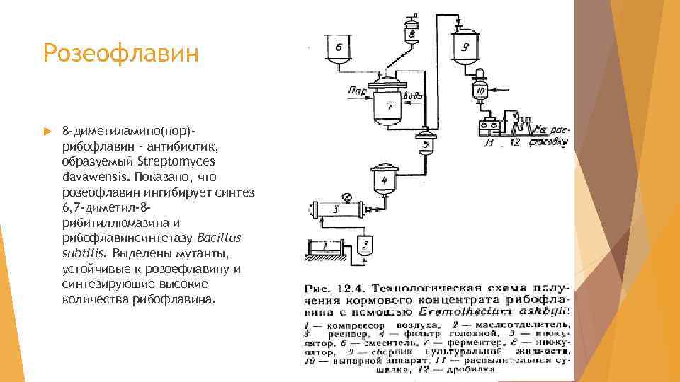 Розеофлавин 8 -диметиламино(нор)рибофлавин – антибиотик, образуемый Streptomyces davawensis. Показано, что розеофлавин ингибирует синтез 6,