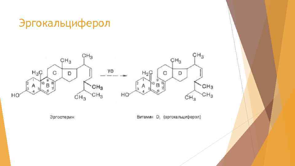 Эргокальциферол 