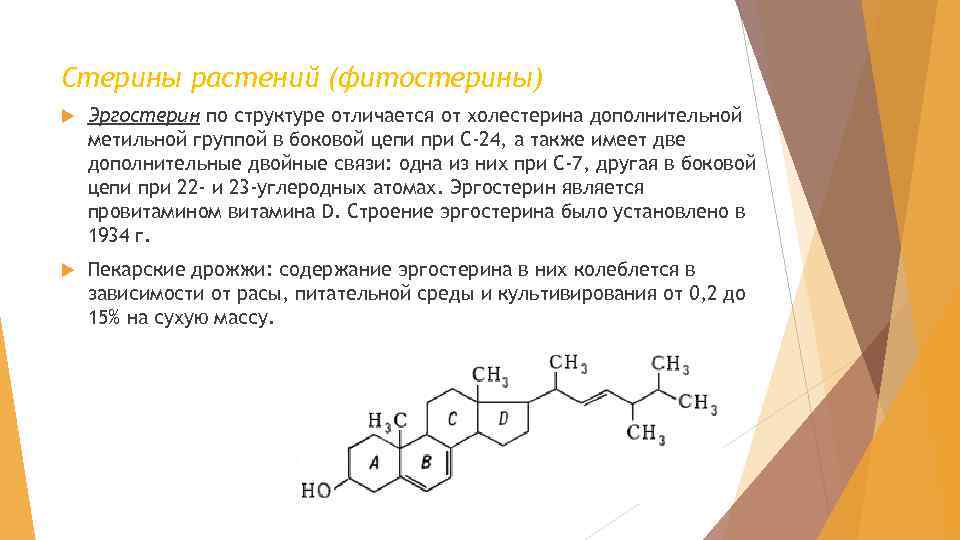 Стерины растений (фитостерины) Эргостерин по структуре отличается от холестерина дополнительной метильной группой в боковой