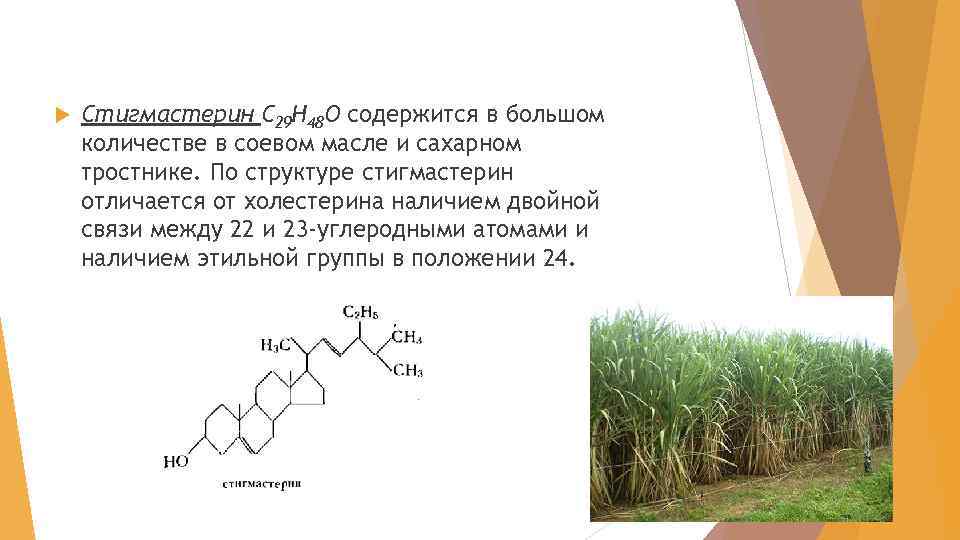  Стигмастерин С 29 H 48 О содержится в большом количестве в соевом масле