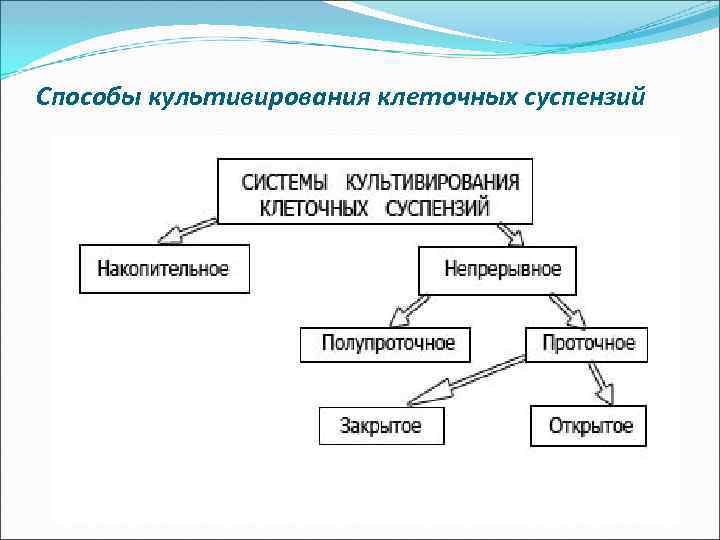 Способы культивирования клеточных суспензий 