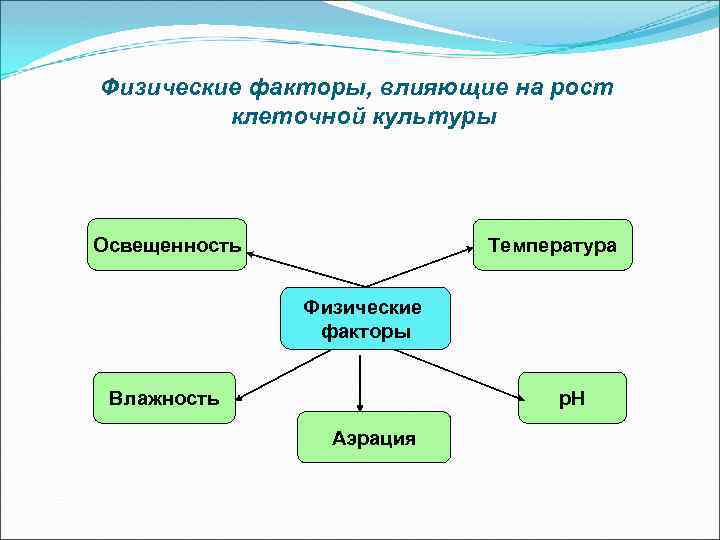 Физические факторы, влияющие на рост клеточной культуры Освещенность Температура Физические факторы Влажность p. H