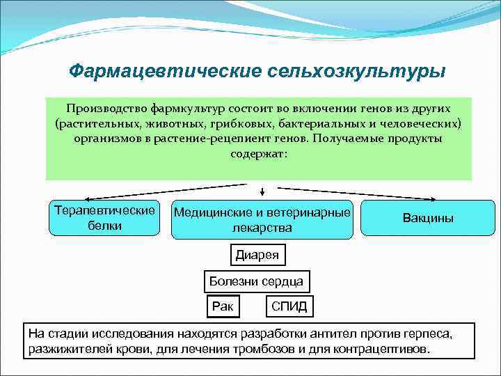 Фармацевтические сельхозкультуры Производство фармкультур состоит во включении генов из других (растительных, животных, грибковых, бактериальных