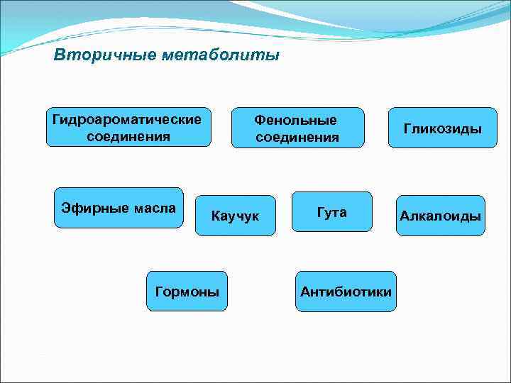 Вторичные метаболиты Гидроароматические соединения Эфирные масла Фенольные соединения Каучук Гормоны Гута Антибиотики Гликозиды Алкалоиды