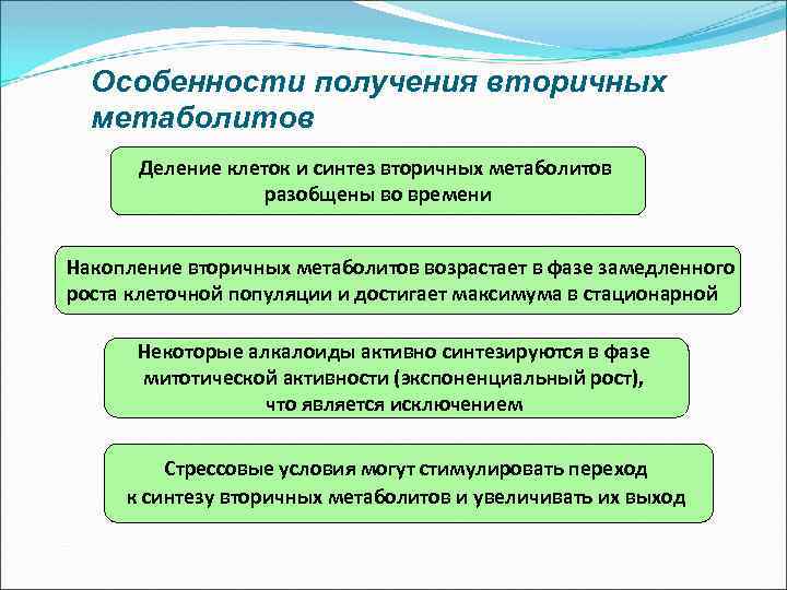 Особенности получения вторичных метаболитов Деление клеток и синтез вторичных метаболитов разобщены во времени Накопление