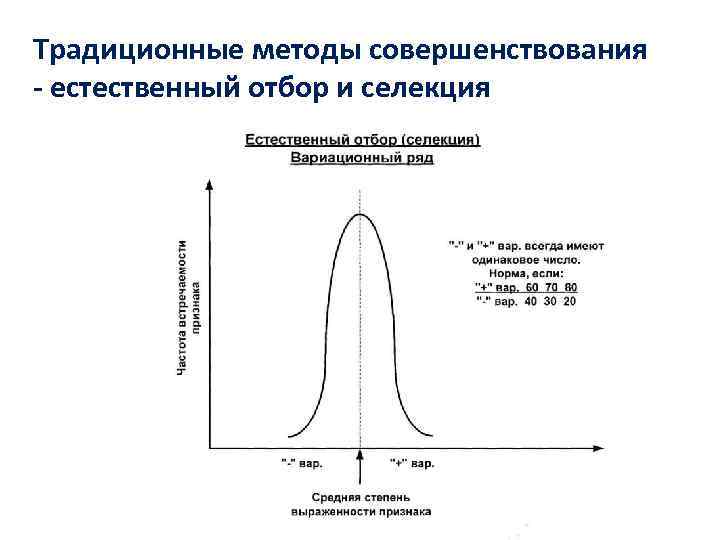 Интенсивность селекции