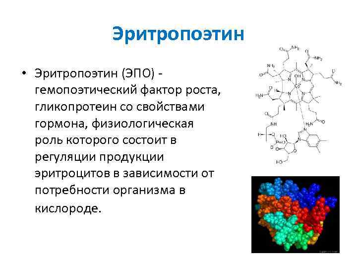 Эритропоэтин • Эритропоэтин (ЭПО) гемопоэтический фактор роста, гликопротеин со свойствами гормона, физиологическая роль которого