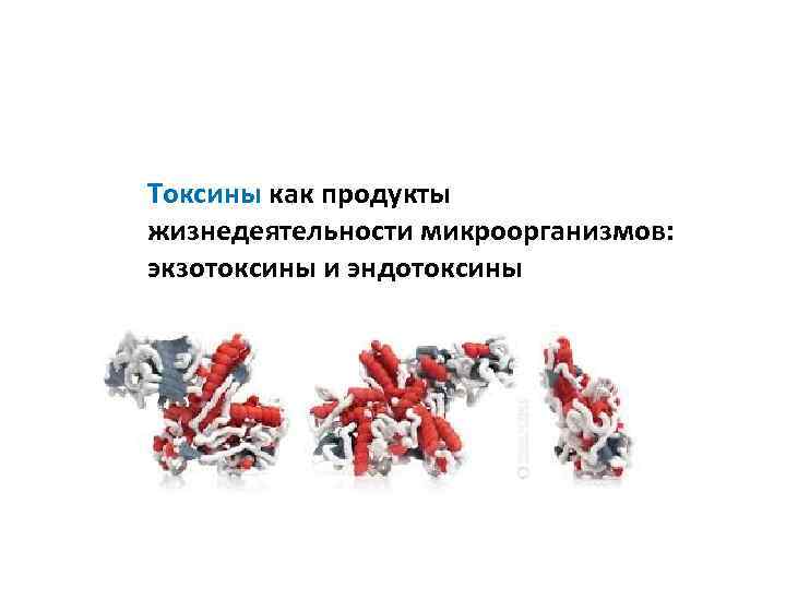 Токсины как продукты жизнедеятельности микроорганизмов: экзотоксины и эндотоксины 