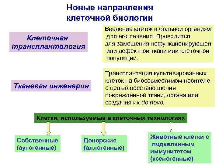 Клеточная технология презентация