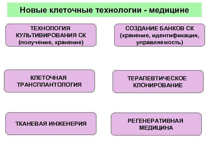 Новые клеточные технологии - медицине ТЕХНОЛОГИЯ КУЛЬТИВИРОВАНИЯ СК (получение, хранение) СОЗДАНИЕ БАНКОВ СК (хранение,