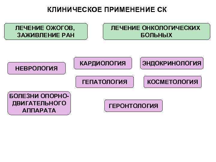 Клеточные технологии презентация