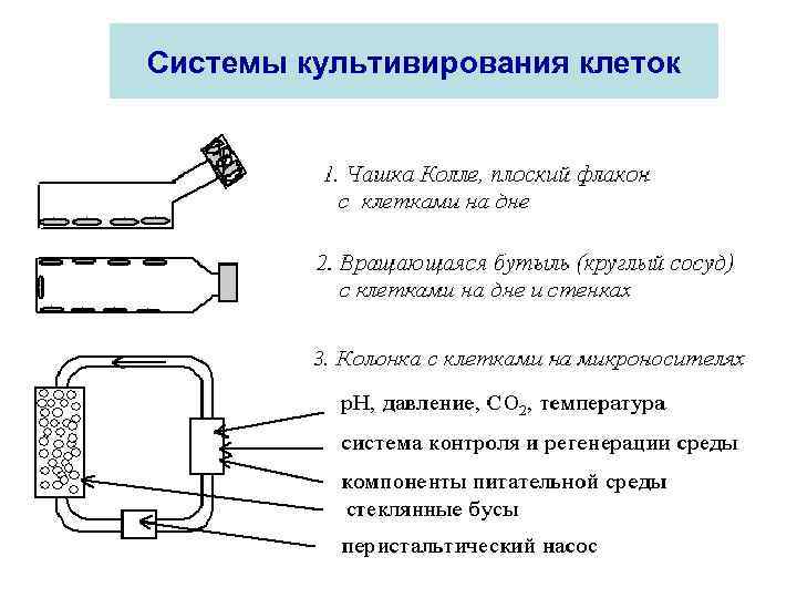 Системы культивирования клеток 