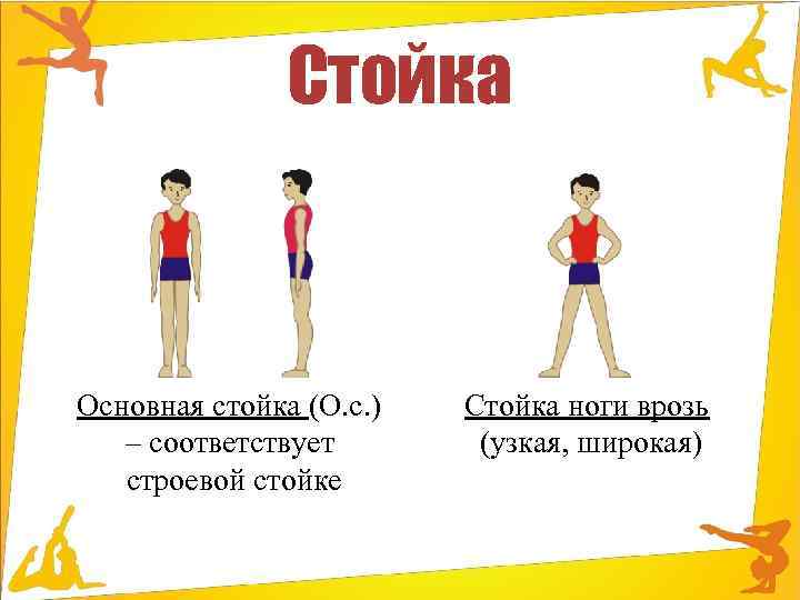 Стойка Основная стойка (О. с. ) – соответствует строевой стойке Стойка ноги врозь (узкая,