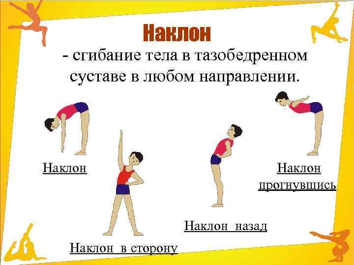 Наклон - сгибание тела в тазобедренном суставе в любом направлении. Наклон прогнувшись Наклон назад