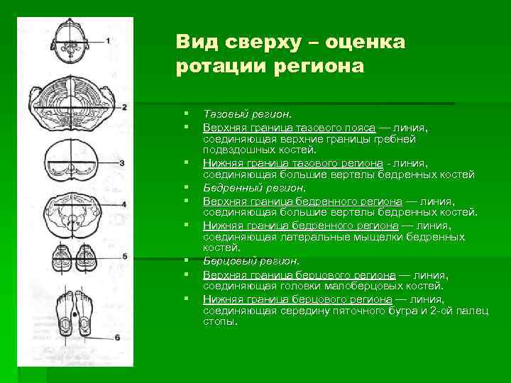 Вид сверху – оценка ротации региона § § § § § Тазовый регион. Верхняя