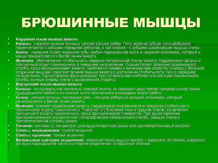 БРЮШИННЫЕ МЫШЦЫ § § § Наружная косая мышца живота Начало: наружно нижние границы нижних