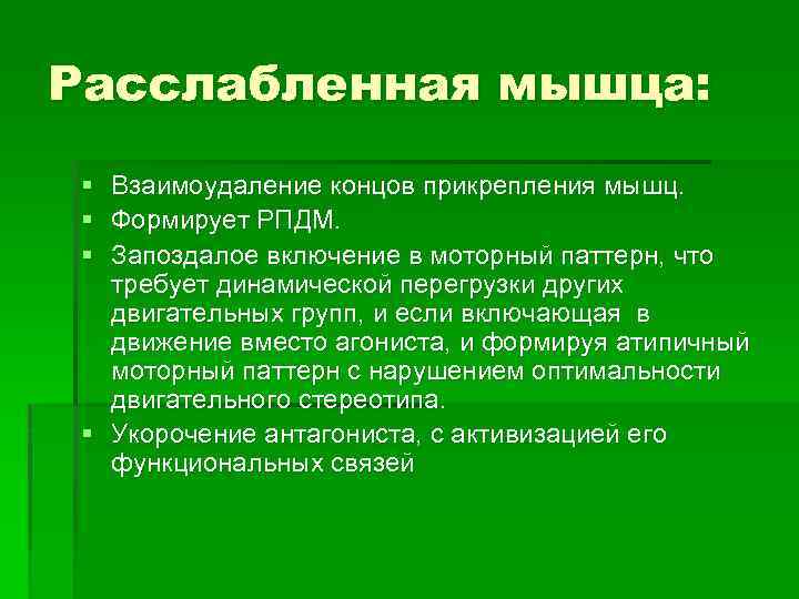 Расслабленная мышца: § Взаимоудаление концов прикрепления мышц. § Формирует РПДМ. § Запоздалое включение в