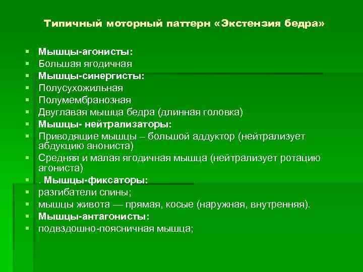 Типичный моторный паттерн «Экстензия бедра» § § § § Мышцы-агонисты: Большая ягодичная Мышцы-синергисты: Полусухожильная