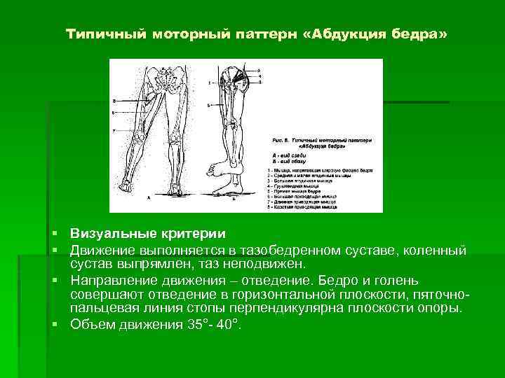 Типичный моторный паттерн «Абдукция бедра» § Визуальные критерии § Движение выполняется в тазобедренном суставе,