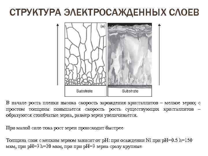 СТРУКТУРА ЭЛЕКТРОСАЖДЕННЫХ СЛОЕВ В начале роста пленки высока скорость зарождения кристаллитов – мелкое зерно;