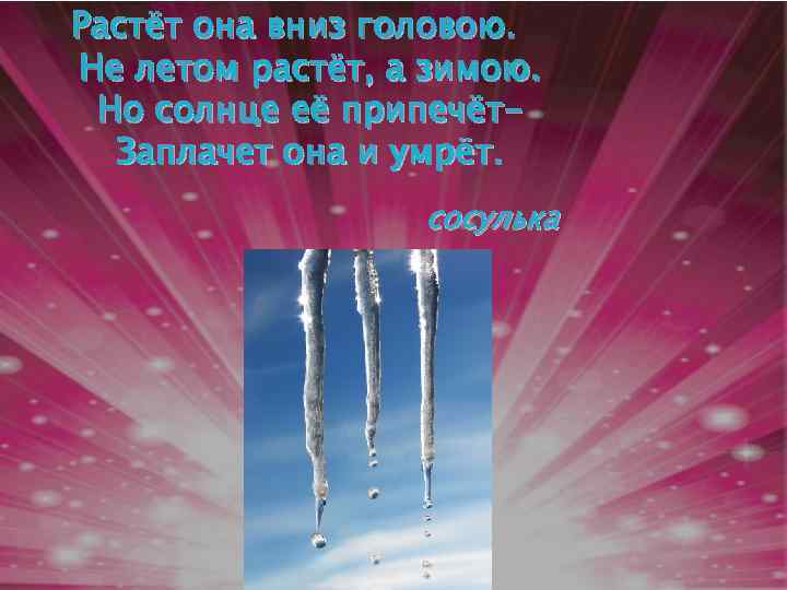 Растёт она вниз головою. Не летом растёт, а зимою. Но солнце её припечёт. Заплачет