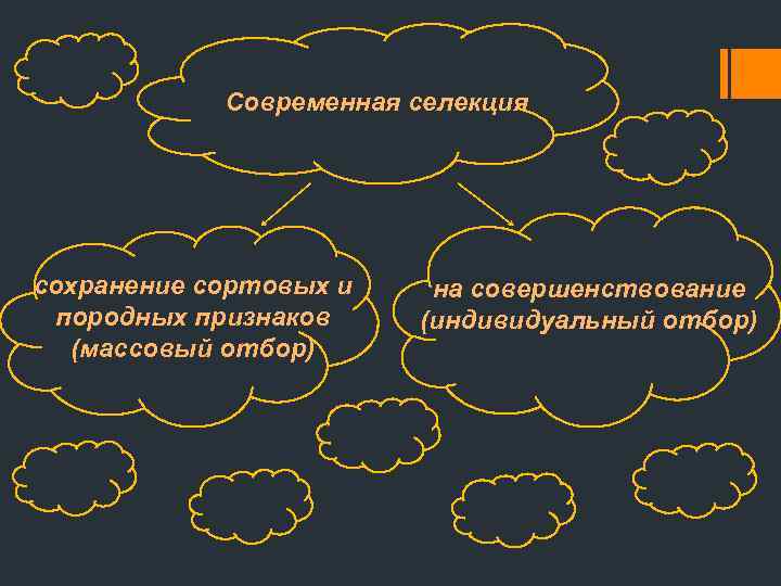 Современная селекция сохранение сортовых и породных признаков (массовый отбор) на совершенствование (индивидуальный отбор) 