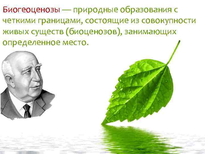 Биогеоценозы — природные образования с четкими границами, состоящие из совокупности живых существ (биоценозов), занимающих